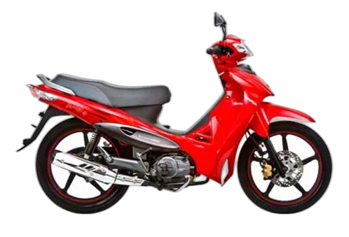 Dafra Zig 100